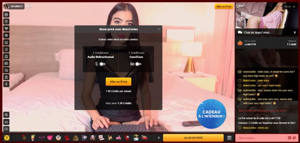 Tarif à la minute du Private Show sur le profil d'un modèle LiveJasmin